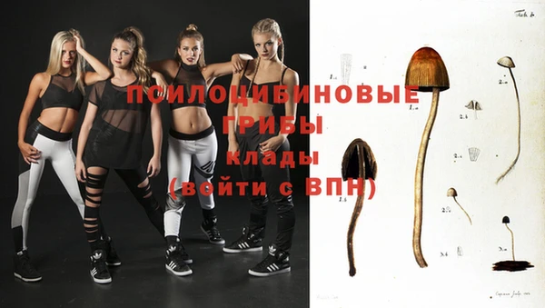 а пвп мука Белокуриха