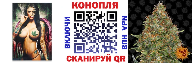 Канабис план  Купить закладки  Губаха 